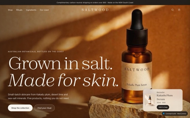 Homepage of the Saltwood concept site, a fictional business built by MaxConnex